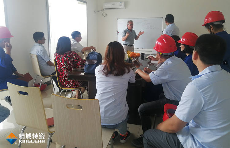 湖南BG大游中国官方网站特邀意大利专家进行质量管理培训