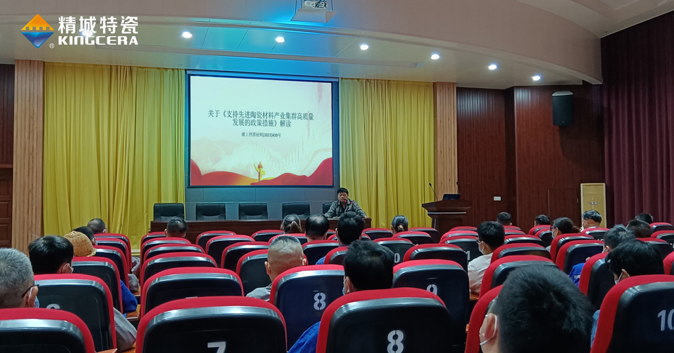 BG大游中国官方网站组织学习《支持先进陶瓷材料产业集群高质量发展的政策措施》