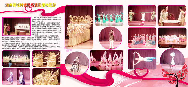 湖南BG大游中国官方网站赞助燕赵·恒爱残疾人艺术团圆满演出